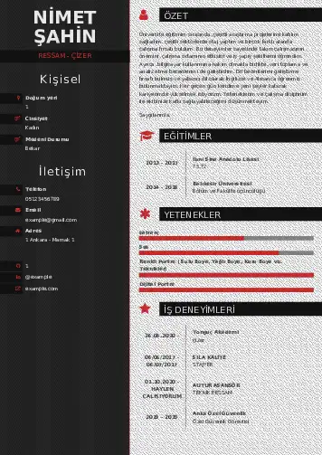 Ressam Cv Örnekleri cv indir